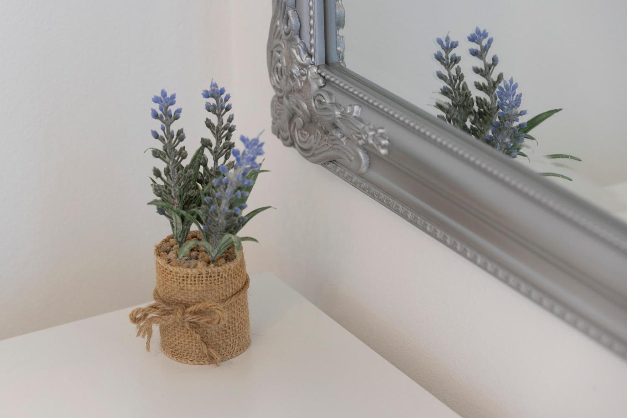 Villa Violic Zaton  Bagian luar foto