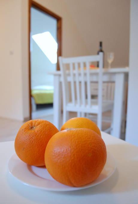 Villa Violic Zaton  Bagian luar foto