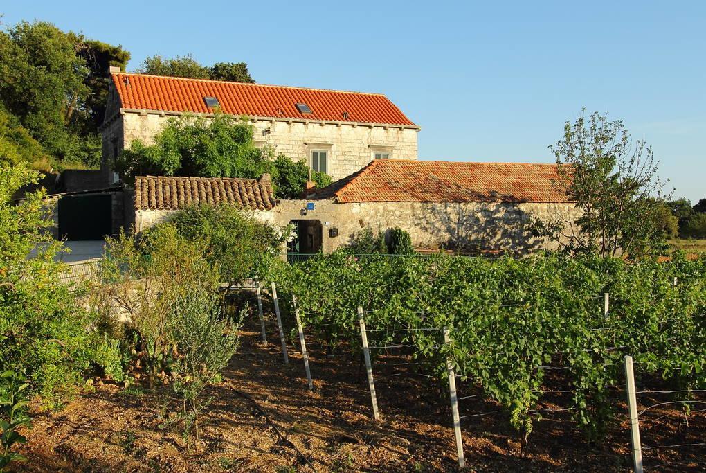 Villa Violic Zaton  Bagian luar foto