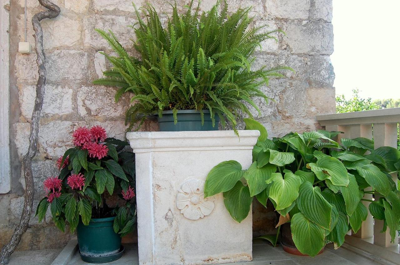 Villa Violic Zaton  Bagian luar foto